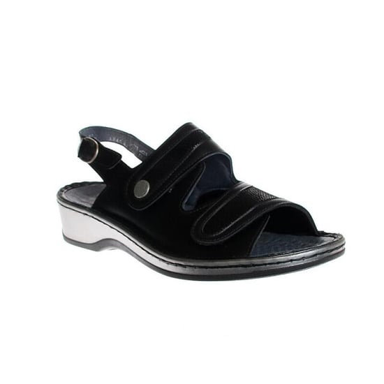 Stuppy 1546 - Image 5