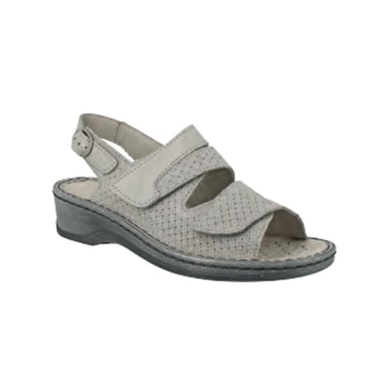 Stuppy 1518 - Image 1