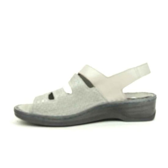 Stuppy 1518 - Image 2