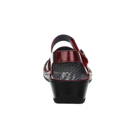 Stuppy 1547 - Image 2