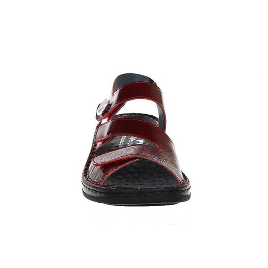 Stuppy 1547 - Image 3