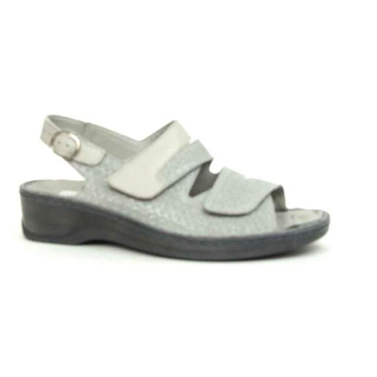 Stuppy 1518 - Image 5