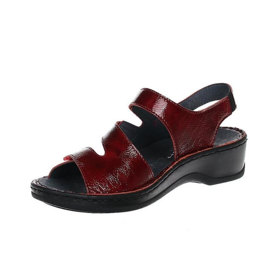 Stuppy 1547 - Image 4
