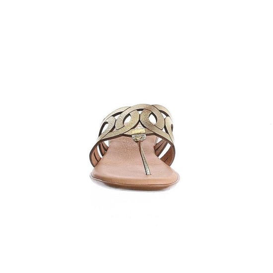 Pinaz 650 - Image 3