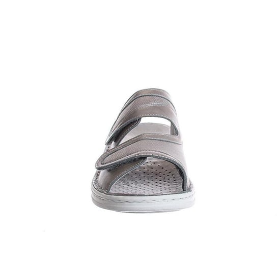 Stuppy 1538 - Image 2