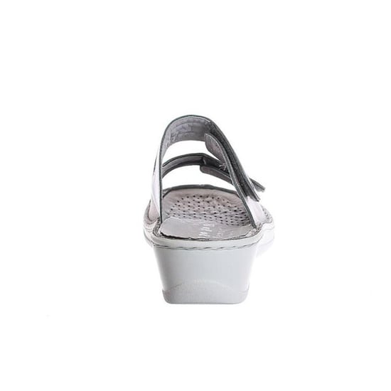Stuppy 1538 - Image 3