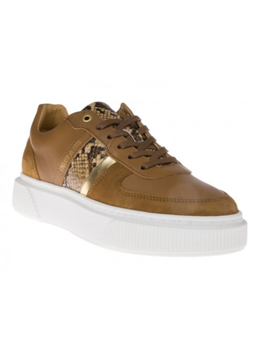 Cycleur de Luxe Lauren - Image 4