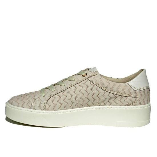DL Sport 5604 - Image 3