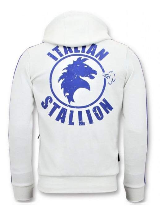 Local Fanatic Trainingspak rocky balboa sport pak - Image 4