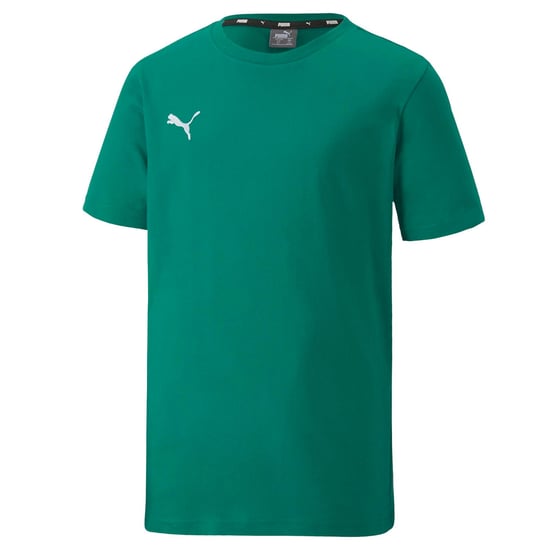Boy's Puma Juniors TeamGOAL 23 Casuals T-Shirt in Green - Image 1
