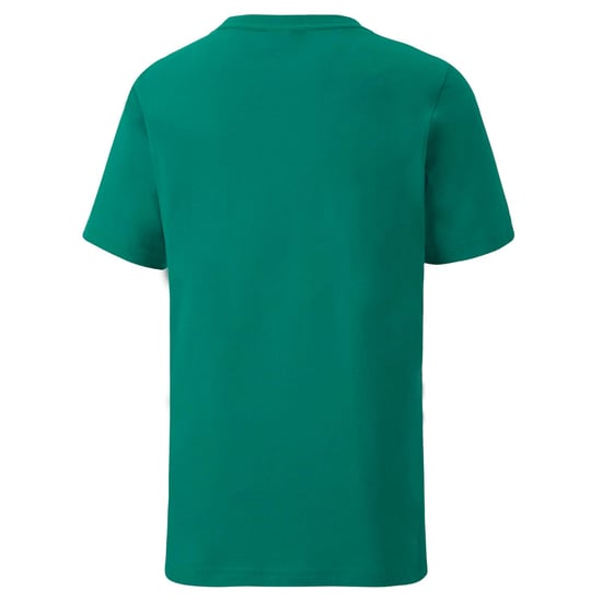 Boy's Puma Juniors TeamGOAL 23 Casuals T-Shirt in Green - Image 2