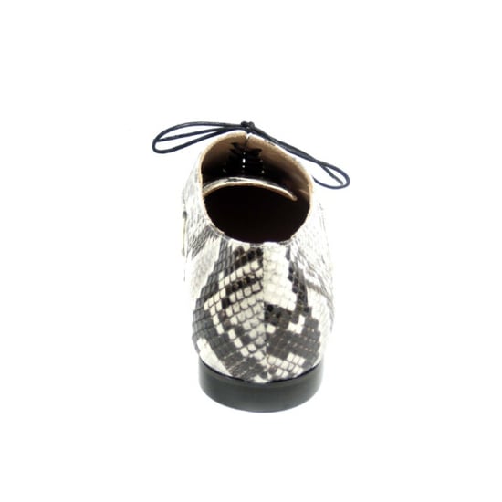 Pascucci 1152 - Image 2