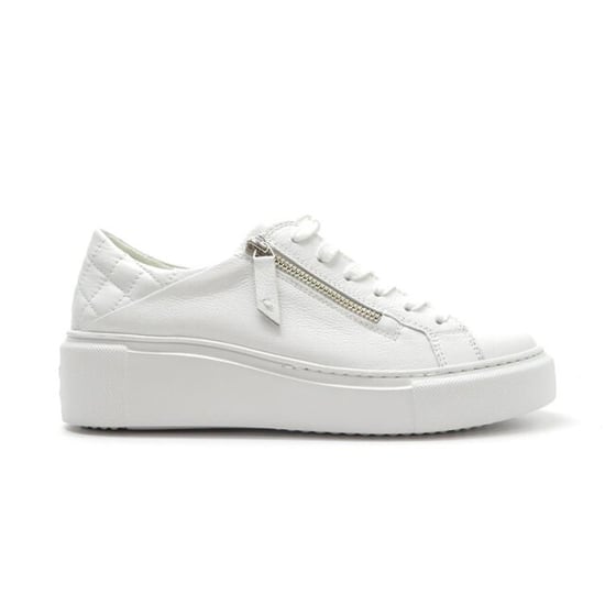 Paul Green 5126 - Image 1
