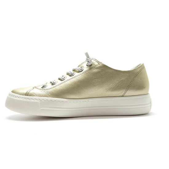 Paul Green 4081 - Image 2