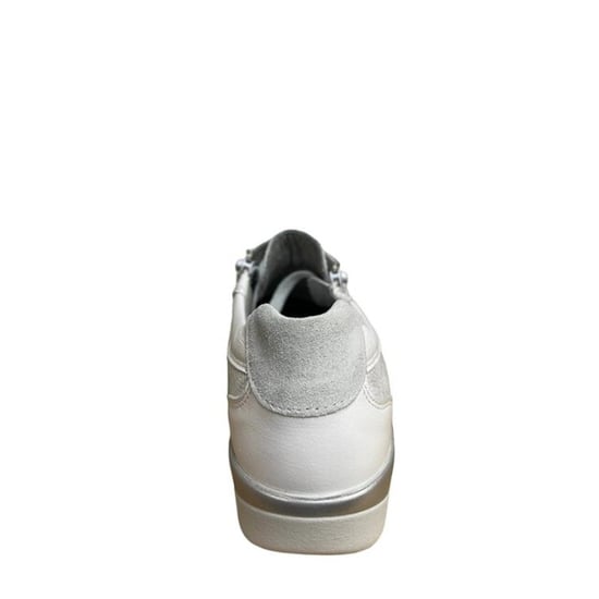 Stuppy 3973 - Image 5