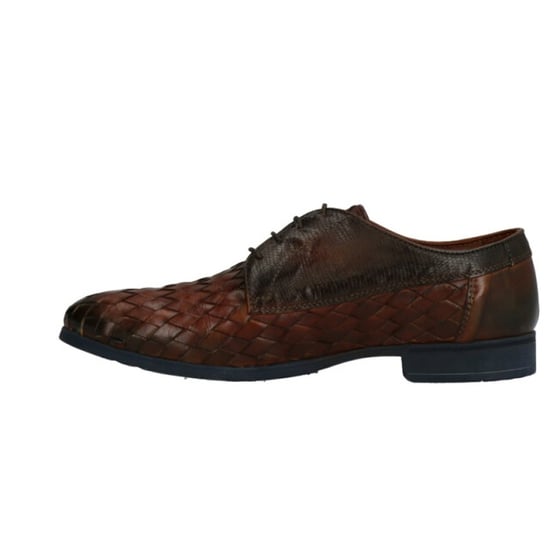 Lorenzi 5931 - Image 4
