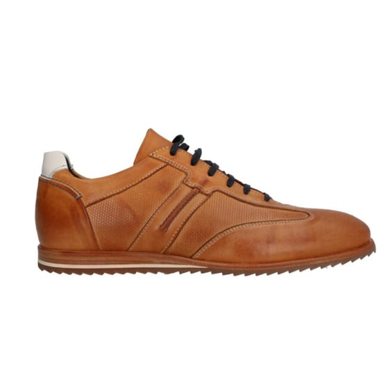 Will Lester 36305 - Image 1