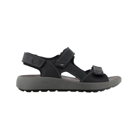 Ara 11-21506 piero - Image 1