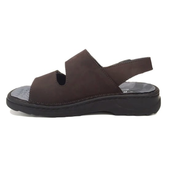 Stuppy 1305 - Image 2