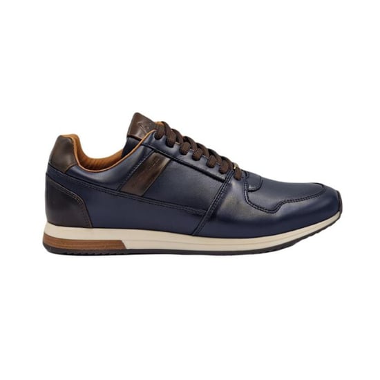 Ambitious 11717 - Image 1
