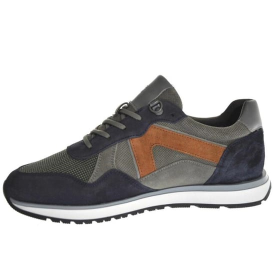 Cycleur de Luxe Campy cdlm232251 - Image 2