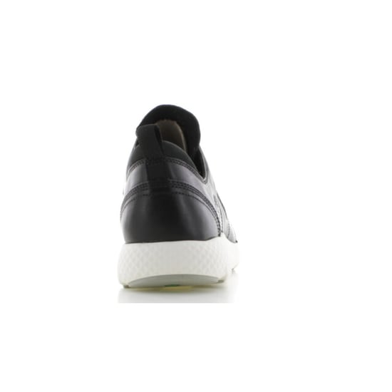 Timberland Ca1sxc - Image 2