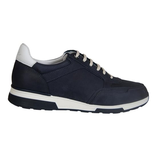 Van Lier 2315579 - Image 1