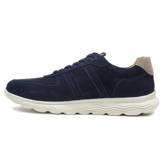 Berkelmans Sears - Image 2