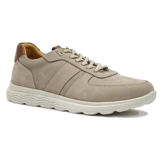 Berkelmans Sears - Image 1