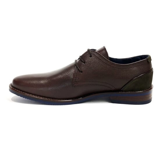 Berkelmans 12n - Image 3