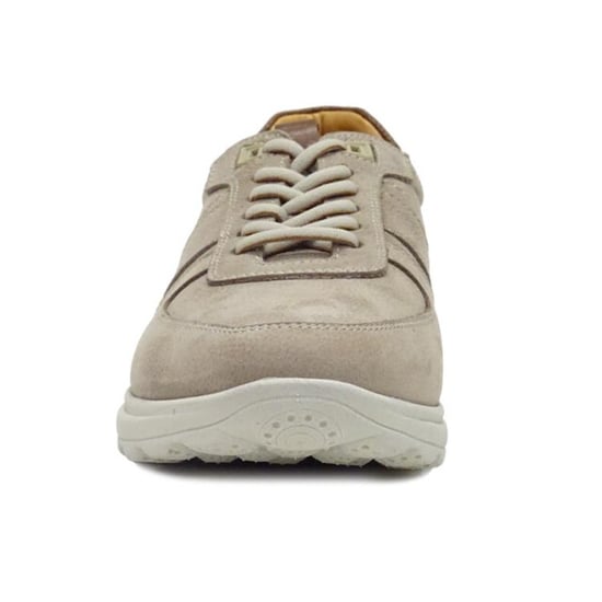 Berkelmans Sears - Image 3