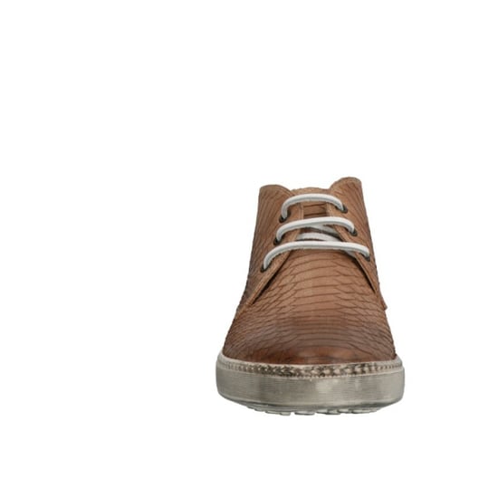 Lorenzi 2030 - Image 2