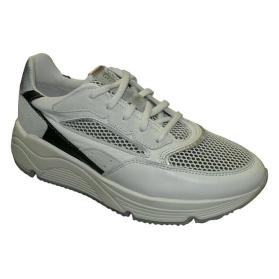 Giga G4257 - Image 3