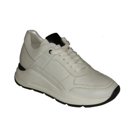 HIP H1330 - Image 3