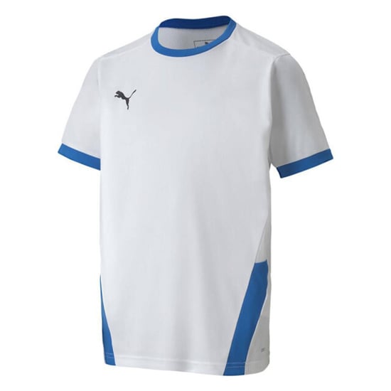 Puma Teamgoal 23 jersey voor kinderen/kinderen - Image 1