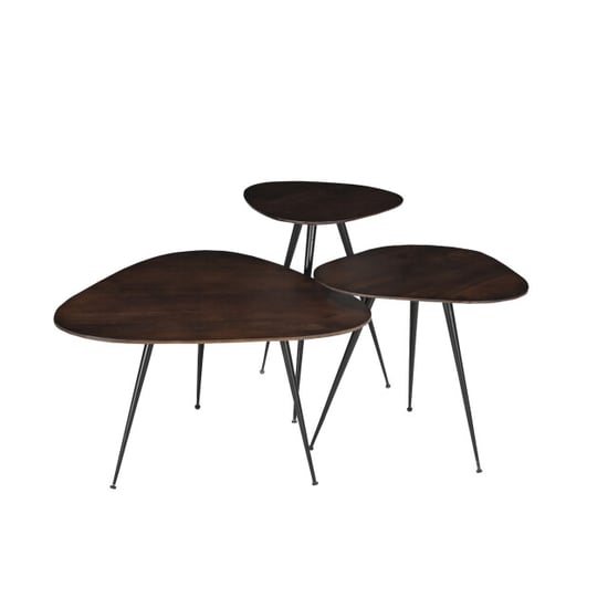Brix salontafel loua brown set of 3 mangohout - Image 2