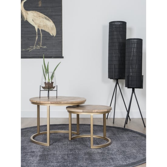 Home67 Salontafel bart goud set van 3 - Image 5