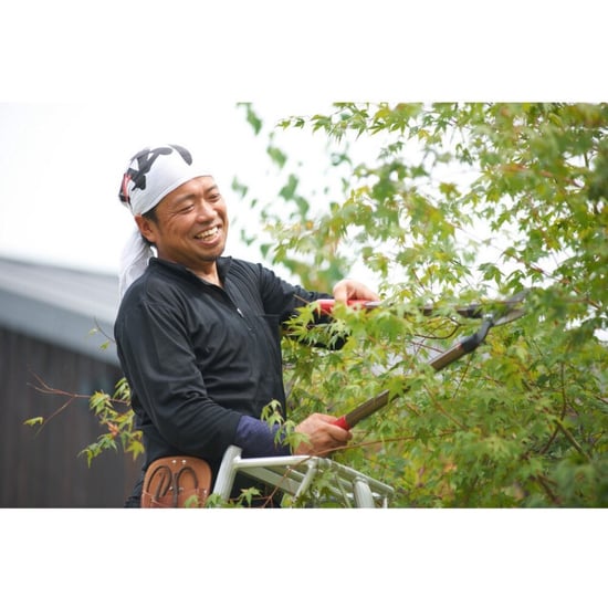 Niwaki Driepoot tuinladder 300 cm snoeiladder tripod ladder plukladder nw03000 - Image 4