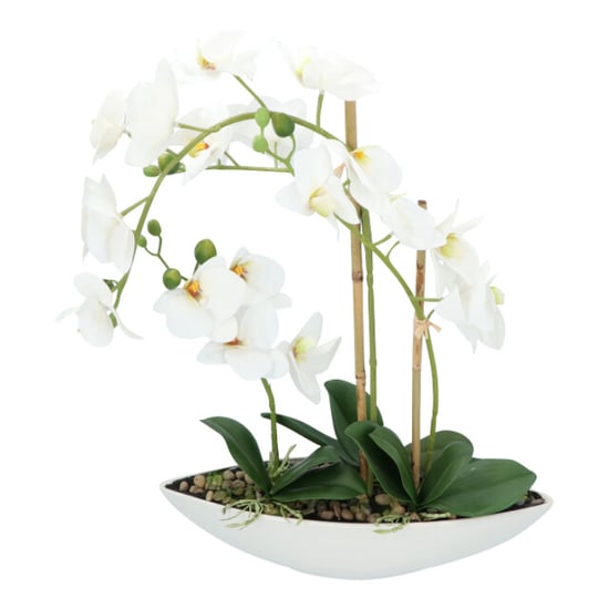 Kopu ® kunstbloem orchidee 60 cm met schaal ovaal phalenopsis - Image 4
