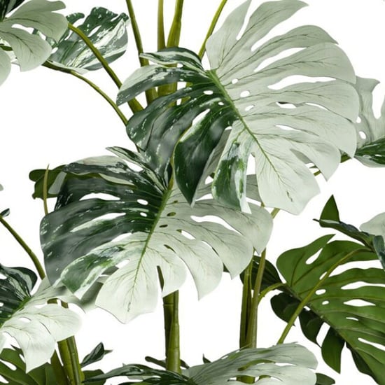 Kopu ® kunstplant monstera variegata half moon 115 cm 16 bladeren - Image 2