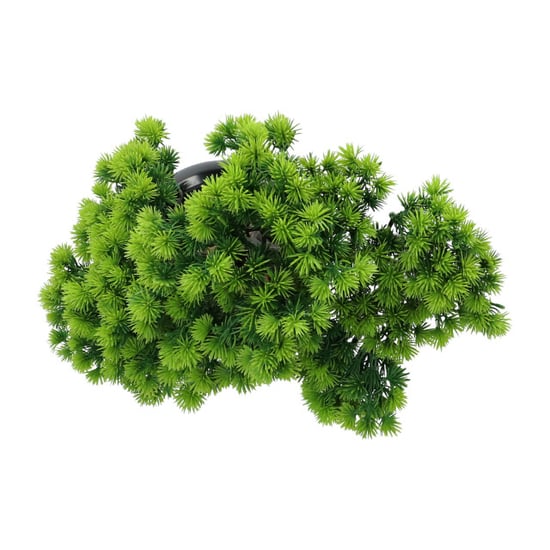 Kopu ® kunstplant bonsai lariks 26 cm met zwarte pot bonsai boompje - Image 5