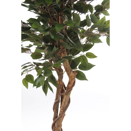 Kopu ® kunstplant ficus 180 cm in pot met natuurstam - Image 2
