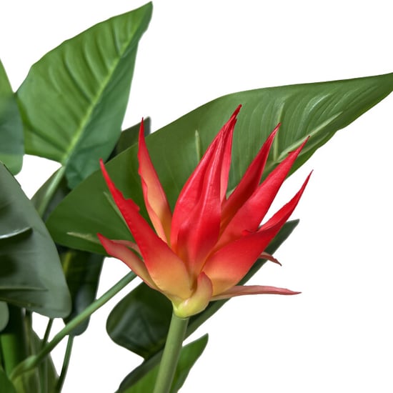 Kopu ® kunstplant guzmania 105 cm met 3 oranje bloemen nepplant - Image 5