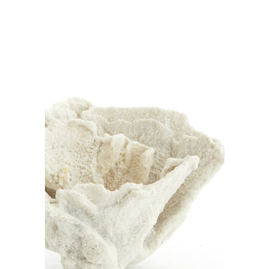 Light & Living ornament coral 23x16x13cm - - Image 3
