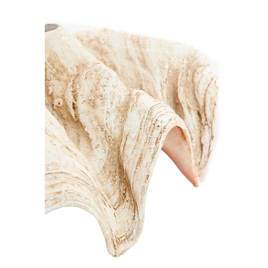 Light & Living ornament shell 41x25x17cm - - Image 2