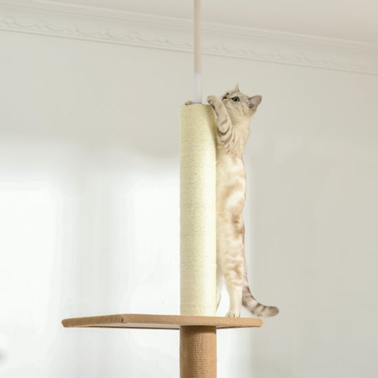 4goodz Pawhut krabpaal plafondhoog 228-260 cm verstelbaar klimboom voor katten - Image 2