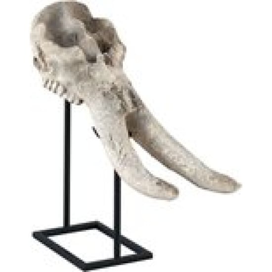 Furnilux terra wit antiek poly schedel beeld - Image 1