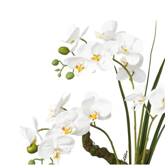 Kopu ® kunstbloem orchidee 46 cm met bloempot phalaenopsis - Image 3