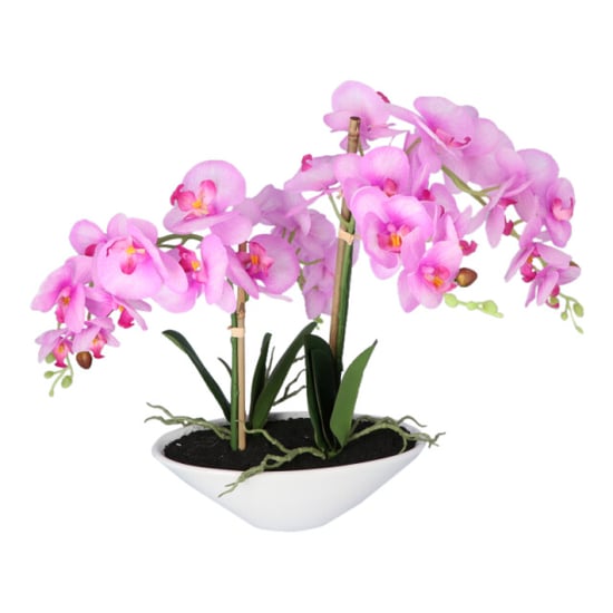 Kopu ® kunstbloem orchidee 53 cm met schaal ovaal phalenopsis - Image 4
