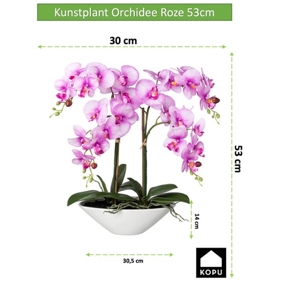 Kopu ® kunstbloem orchidee 53 cm met schaal ovaal phalenopsis - Image 5